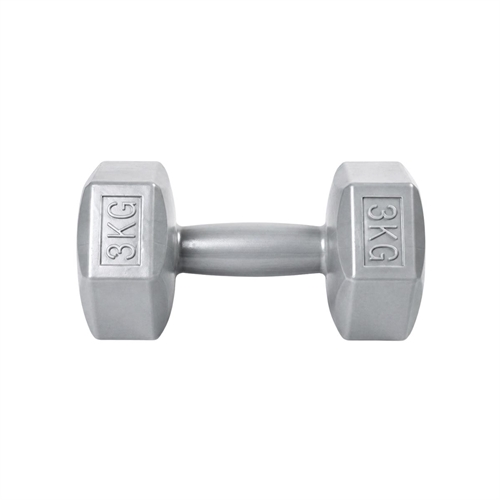 ASG Håndvægt 3 kg