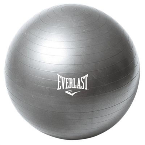 Everlast ABS Træningsbold - Ø65 CM i grå