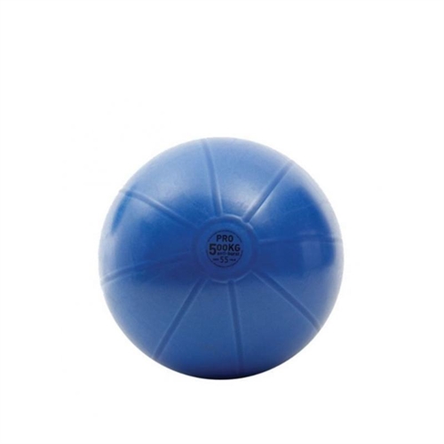 TOORX Antiburst Træningsbold - Ø55 cm i blå